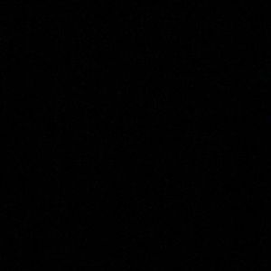 Meet your Posher, Allie